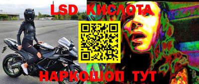 ПСИЛОЦИБИНОВЫЕ ГРИБЫ Берёзовский