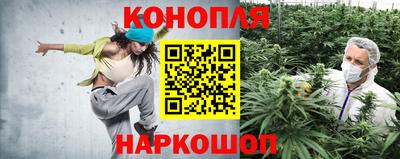 гашик Изобильный