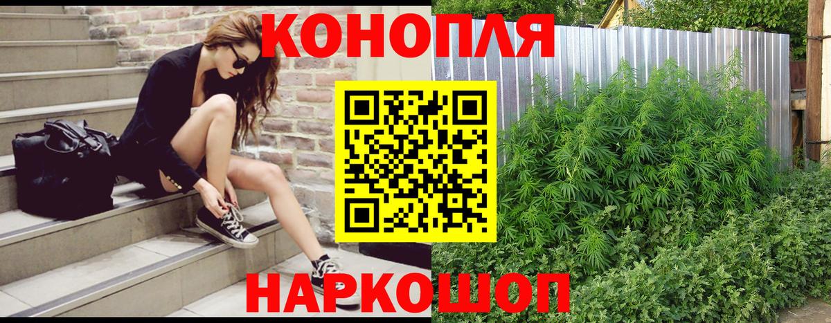 Бошки Шишки MAZAR Будённовск